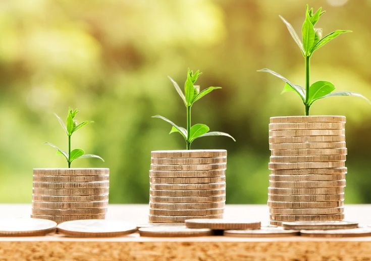 Stacks of coins with small plants growing on top, symbolizing growth, sustainability, and the impact of green loans in supporting eco-friendly investments.